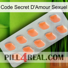 Sex Love Secret Code 26